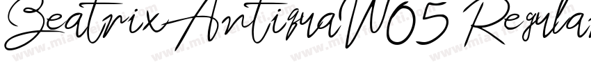 BeatrixAntiquaW05 Regular Regular字体转换